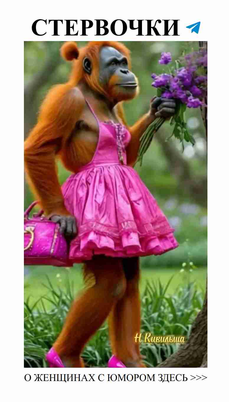Очаровательная обезьянка в платье, готовая к любви и смеху