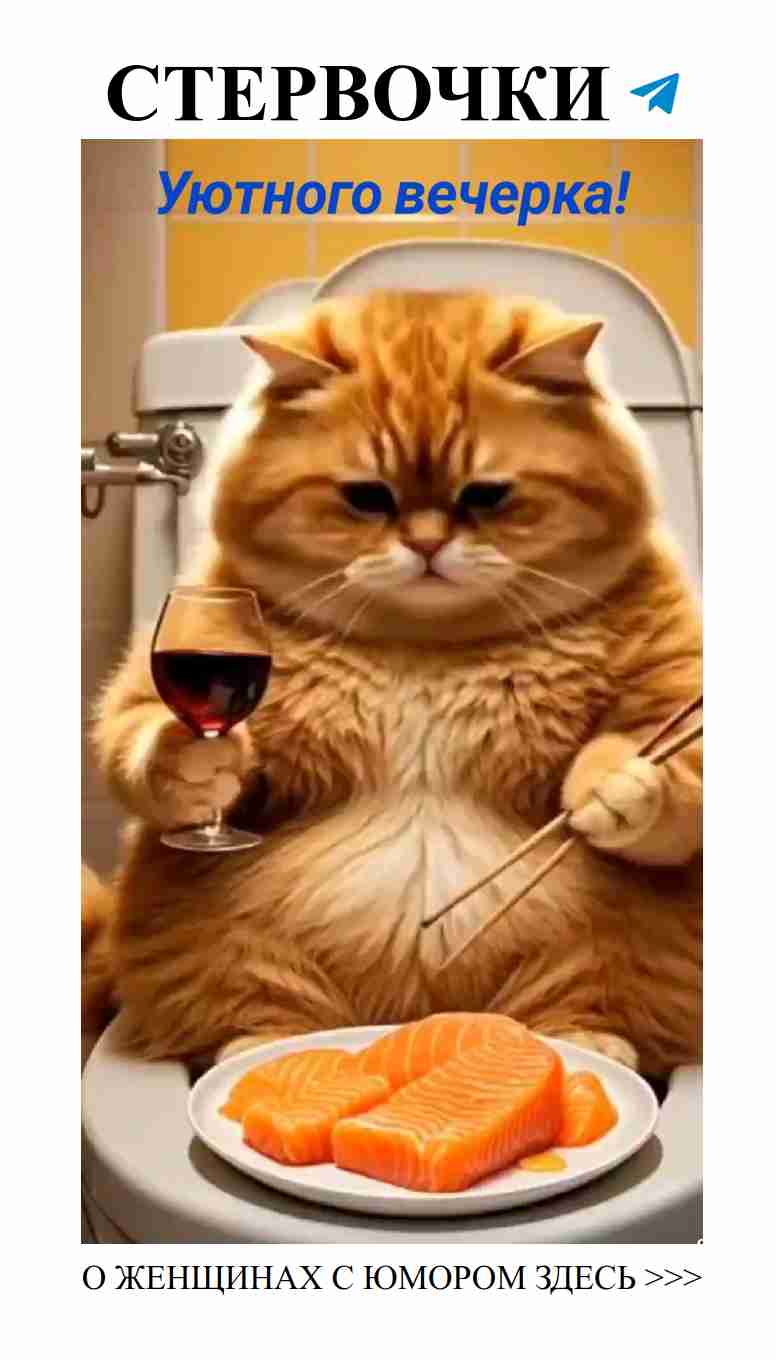 Лучшие моменты любви для уютного вечера