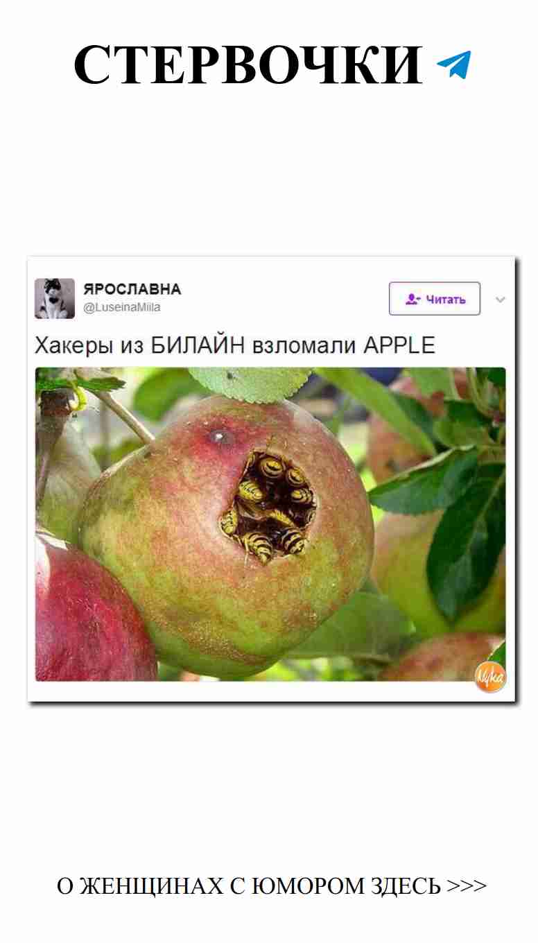 Когда любовь смеется, мир становится ярче!