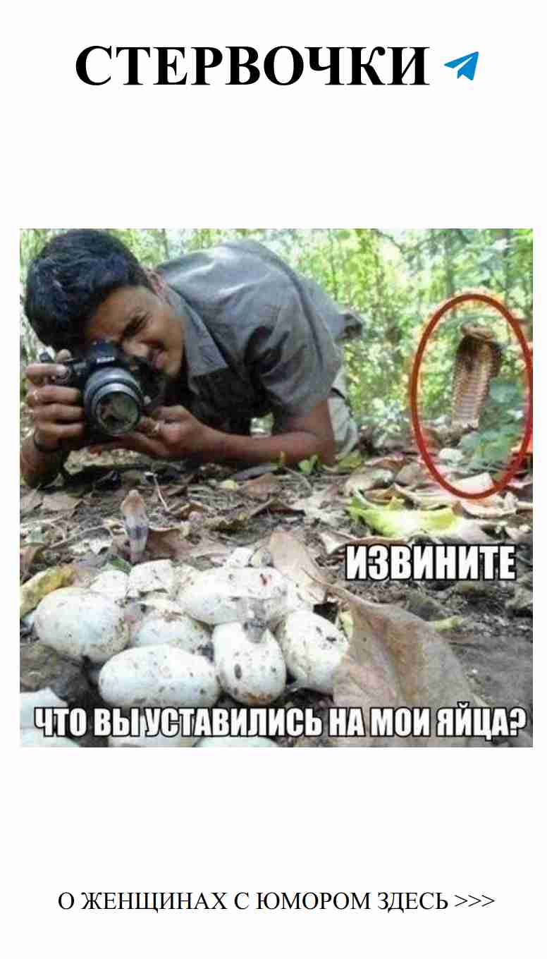 Любовные приколы: вспомним самые смешные моменты