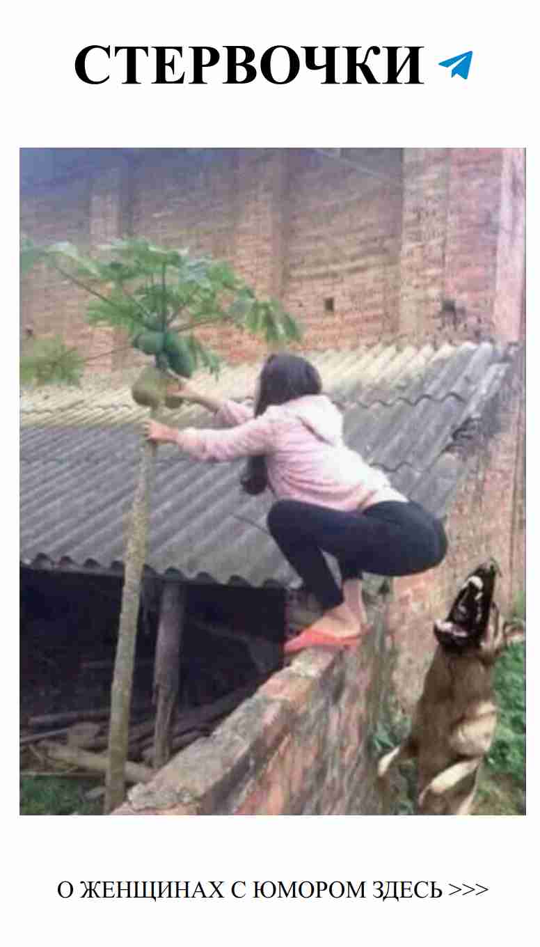 16 Идеально Опрокинутых Фотографий, Которые Утром Ударят