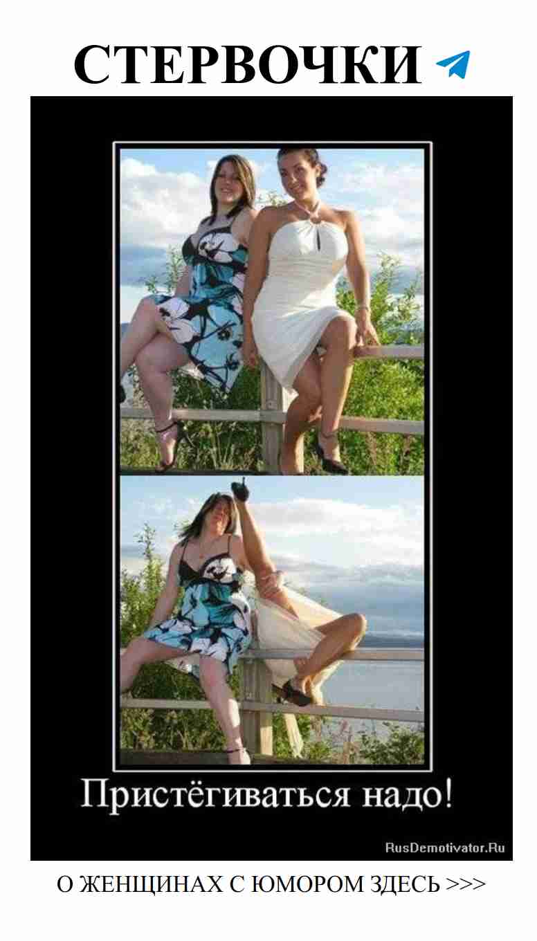 Прикольные фото о любви и кошках для поднятия настроения