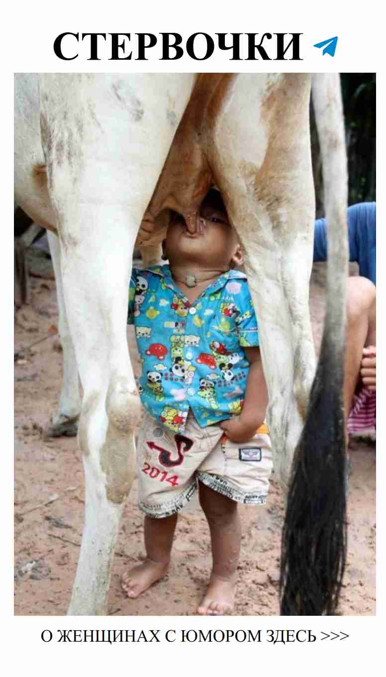 Любовь и юмор: забавные истории о женской судьбе