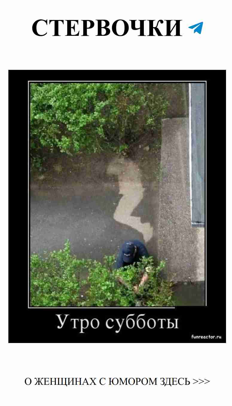 Утренние шутки о любви, которые поднимут настроение