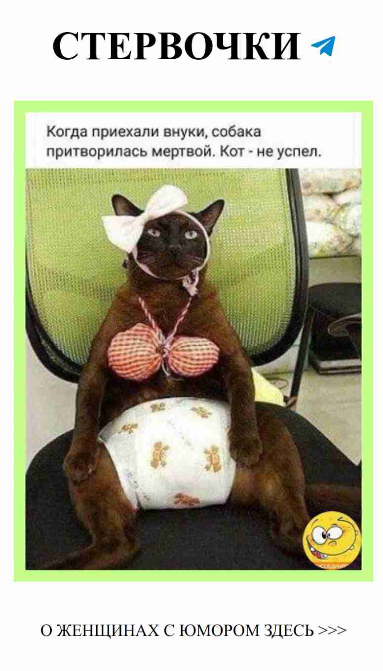 Смешные истории о любви: Отцы и дети на веселье