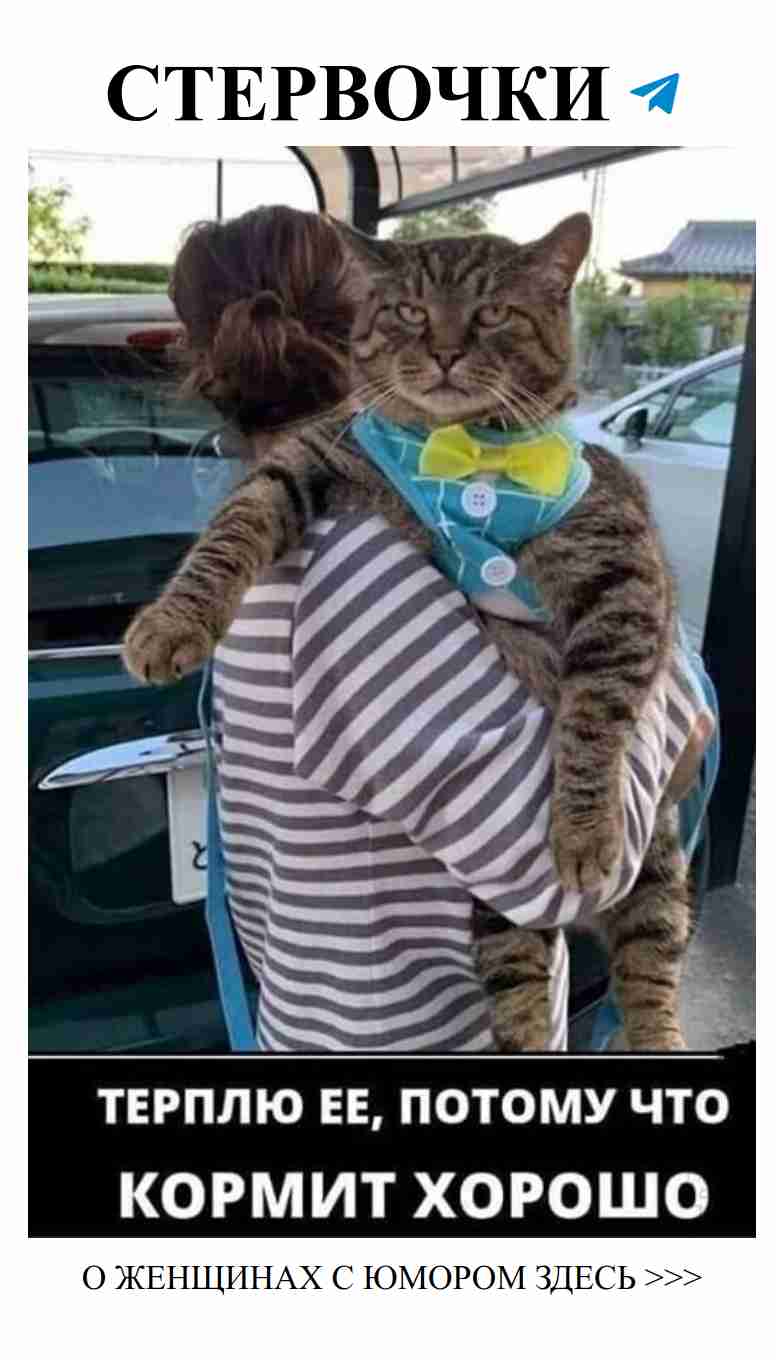 Очаровательные истории о любви и дружбе с животными