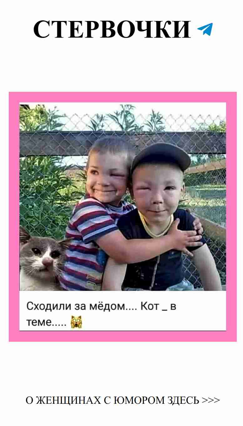 Юмор о любви: веселые истории для детей и взрослых