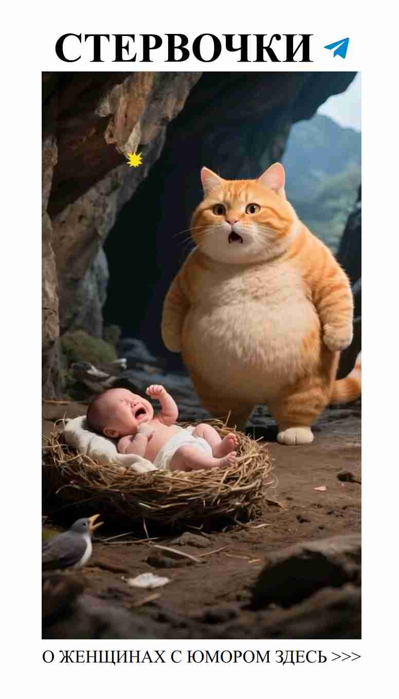 Любовные приключения Котэ: анимация с юмором о жизни