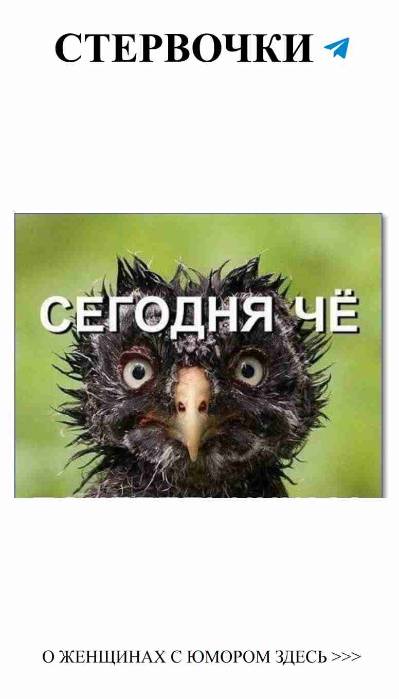 Смешные картинки о любви, которые заставят вас смеяться