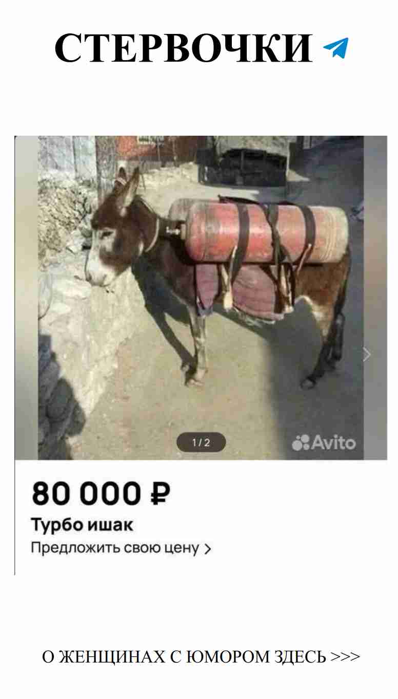 Смех о любви: когда сердца расцветают юмором