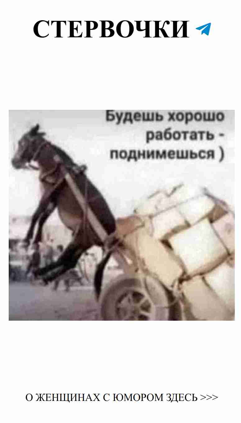 Любовь и юмор: поднимайся вверх вместе с ним!