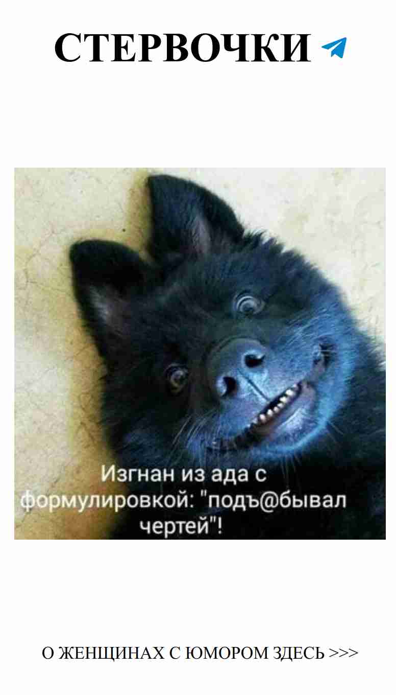 Любовные мемы: как девушки шутят о своих чувствах