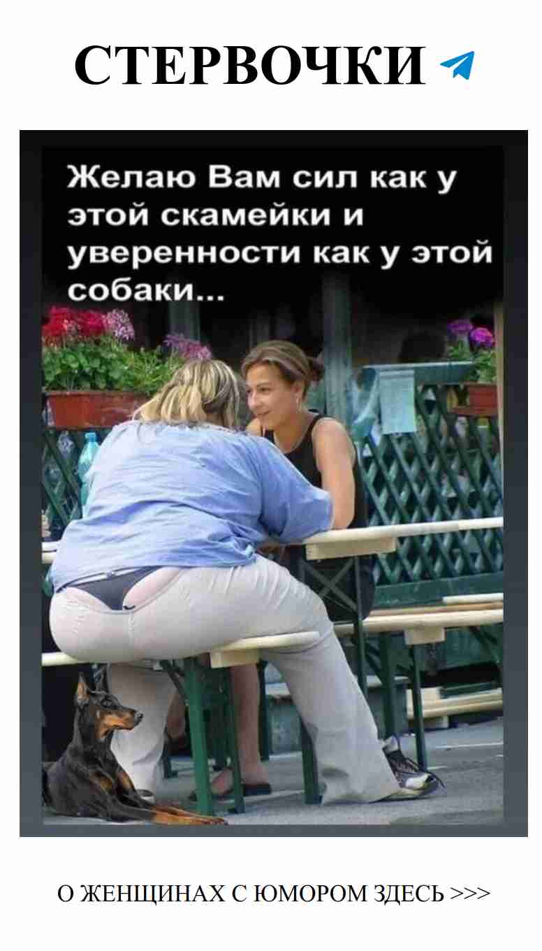 Любовь как собачья уверенность и сила скамейки