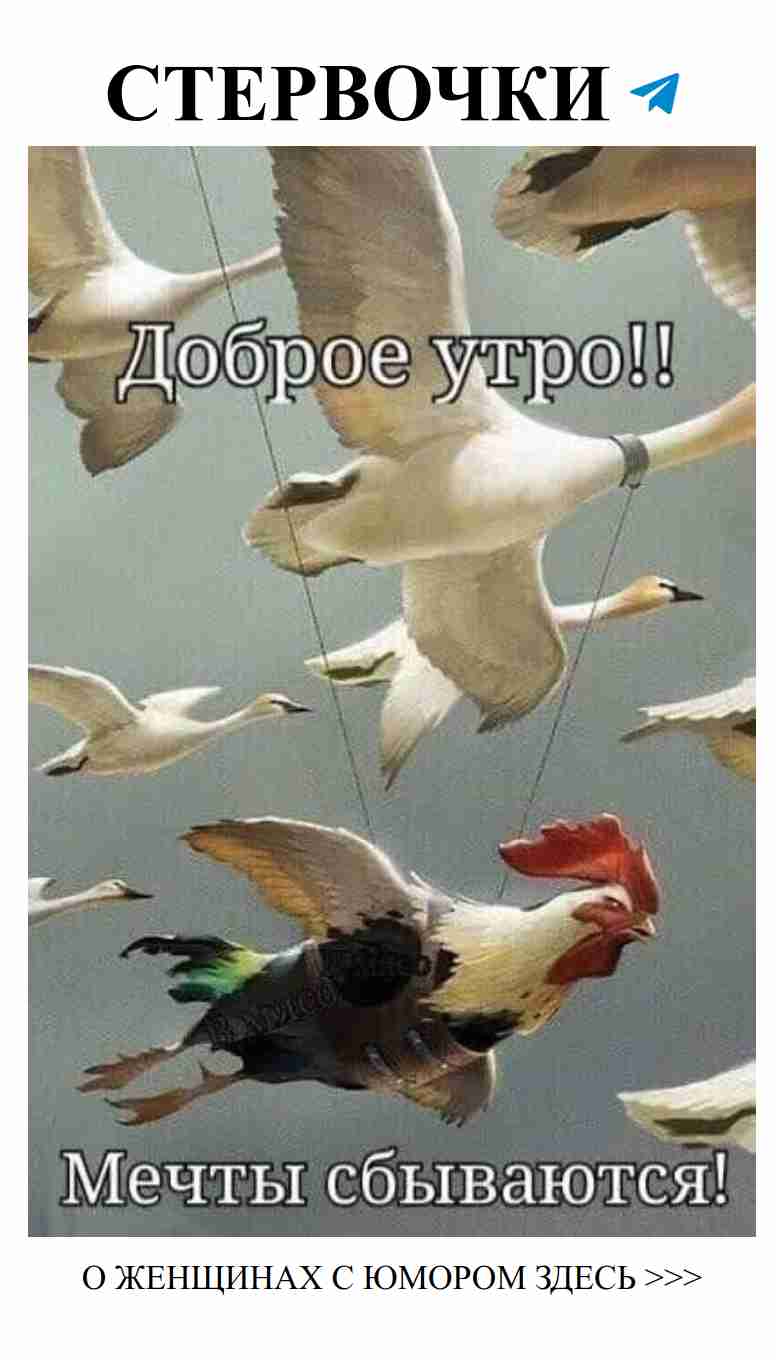 Лучшие анекдоты о любви для женщин без комплексов