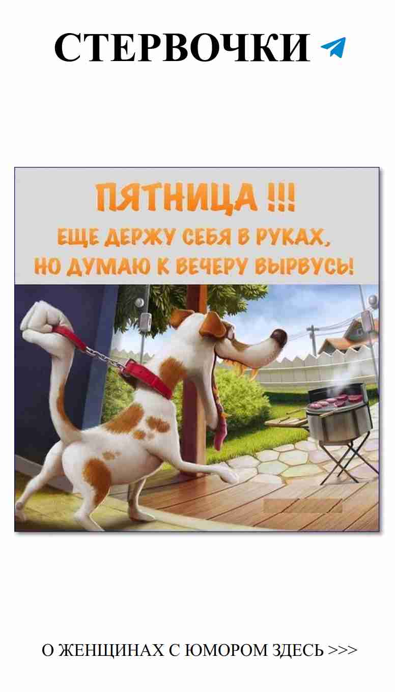 Смешные картинки о любви для хорошего настроения