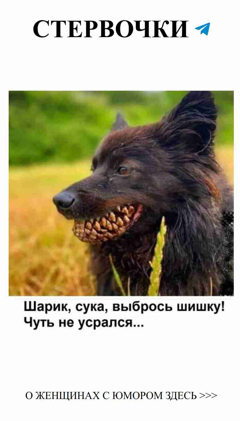 Веселые женские шутки о любви и жизни без границ