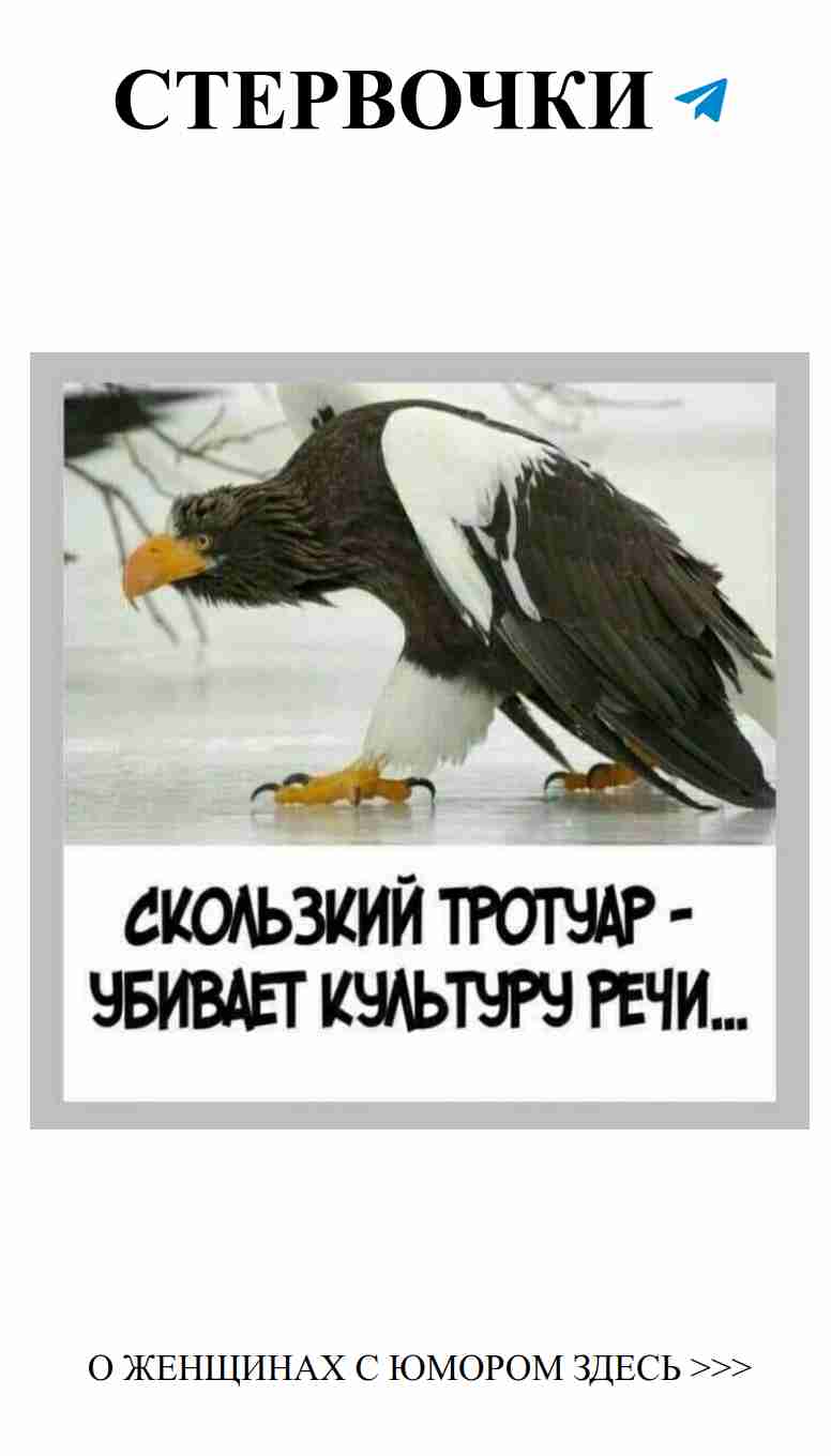 Смешные моменты о любви: фото 915795393260 из альбома