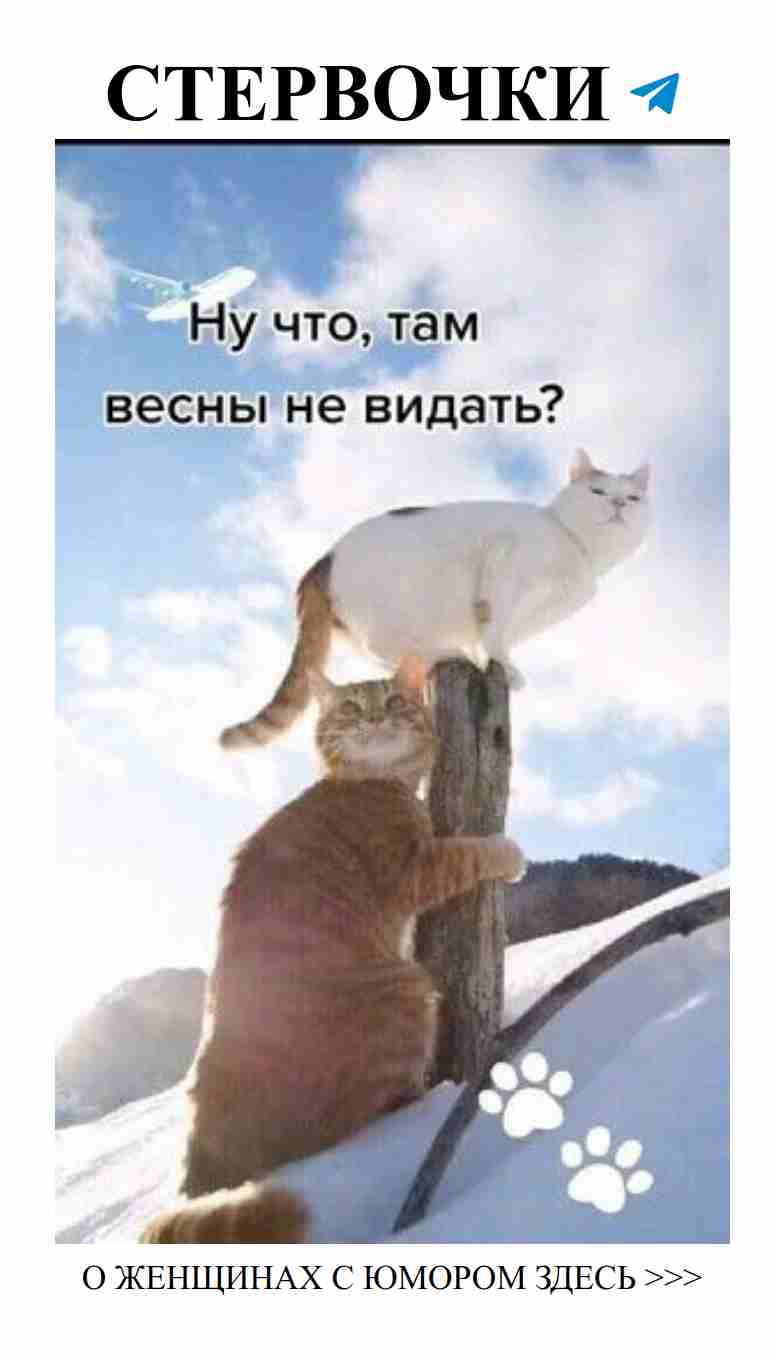 Женский юмор о любви в группе Судьба и ЖИЗНЬ