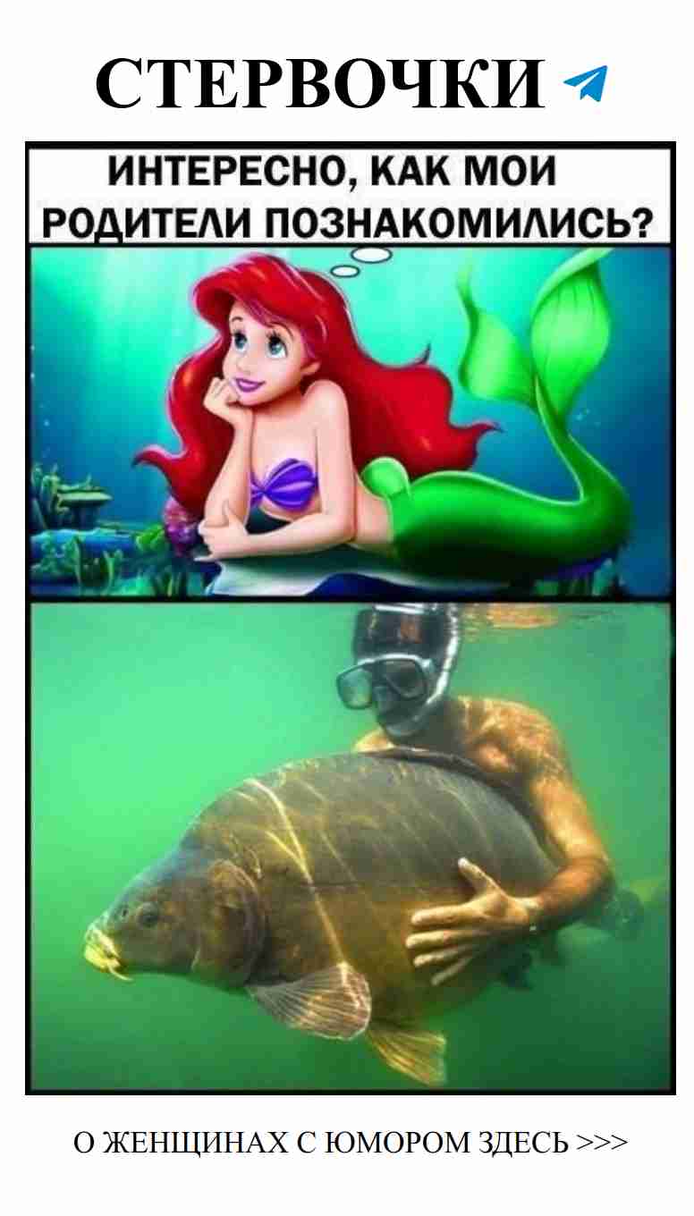 Юмористические моменты о любви из ВЕСЁЛЫХ КАРТИНОК