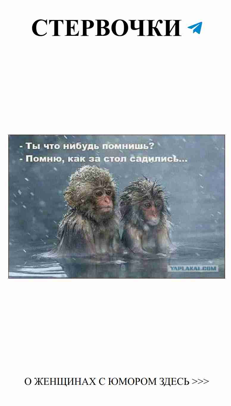 Смешные моменты о любви, которые поднимут настроение