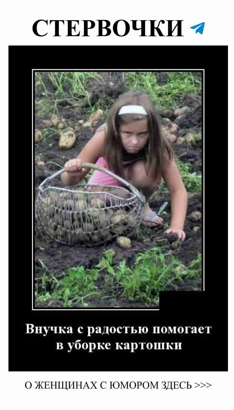 Любовь — это смешно, но мы все равно вяжем!