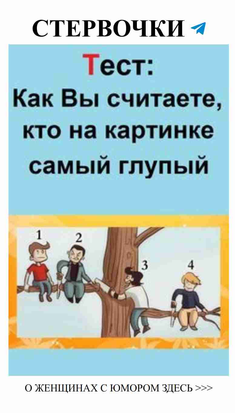 Кто из них самый глупый: игра для забавы и смеха