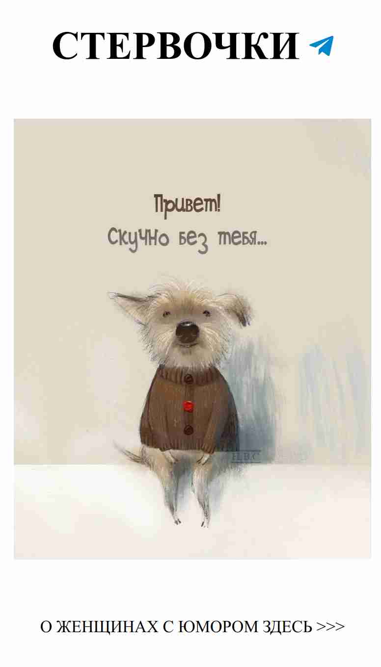 Любовь и смех: что может быть лучше женщин с юмором