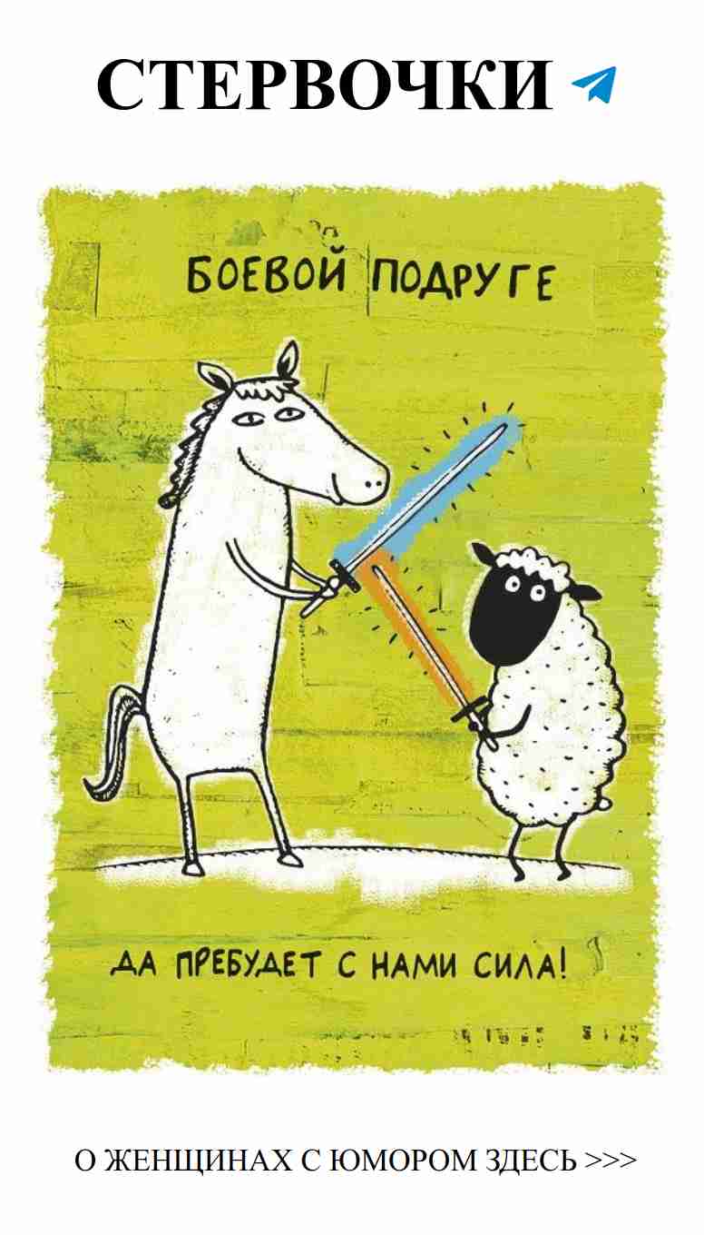 Смех и любовь: женские истории, которые поднимут настроение