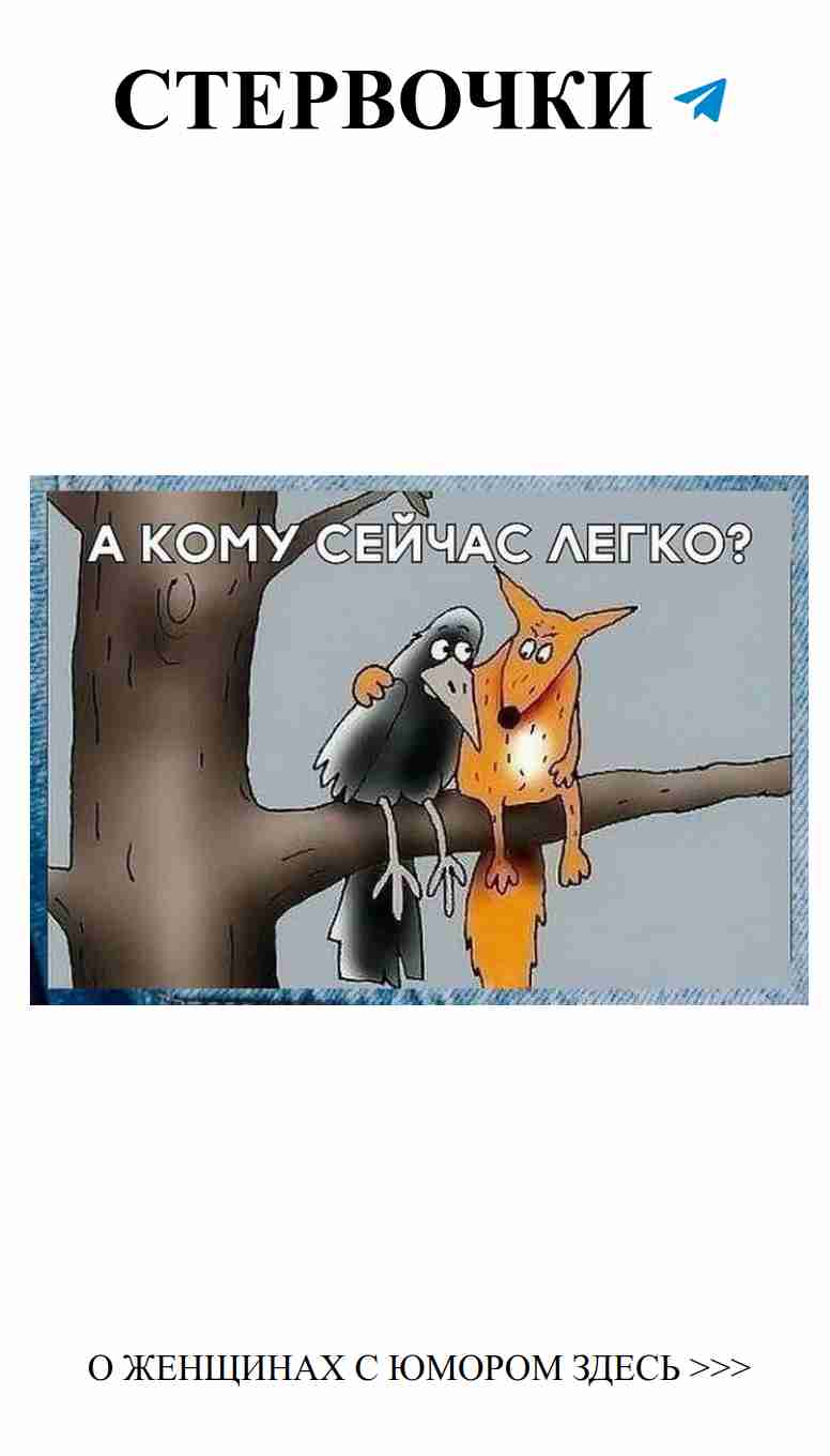 Любовь и смех: настоящие истории из жизни дружных женщин