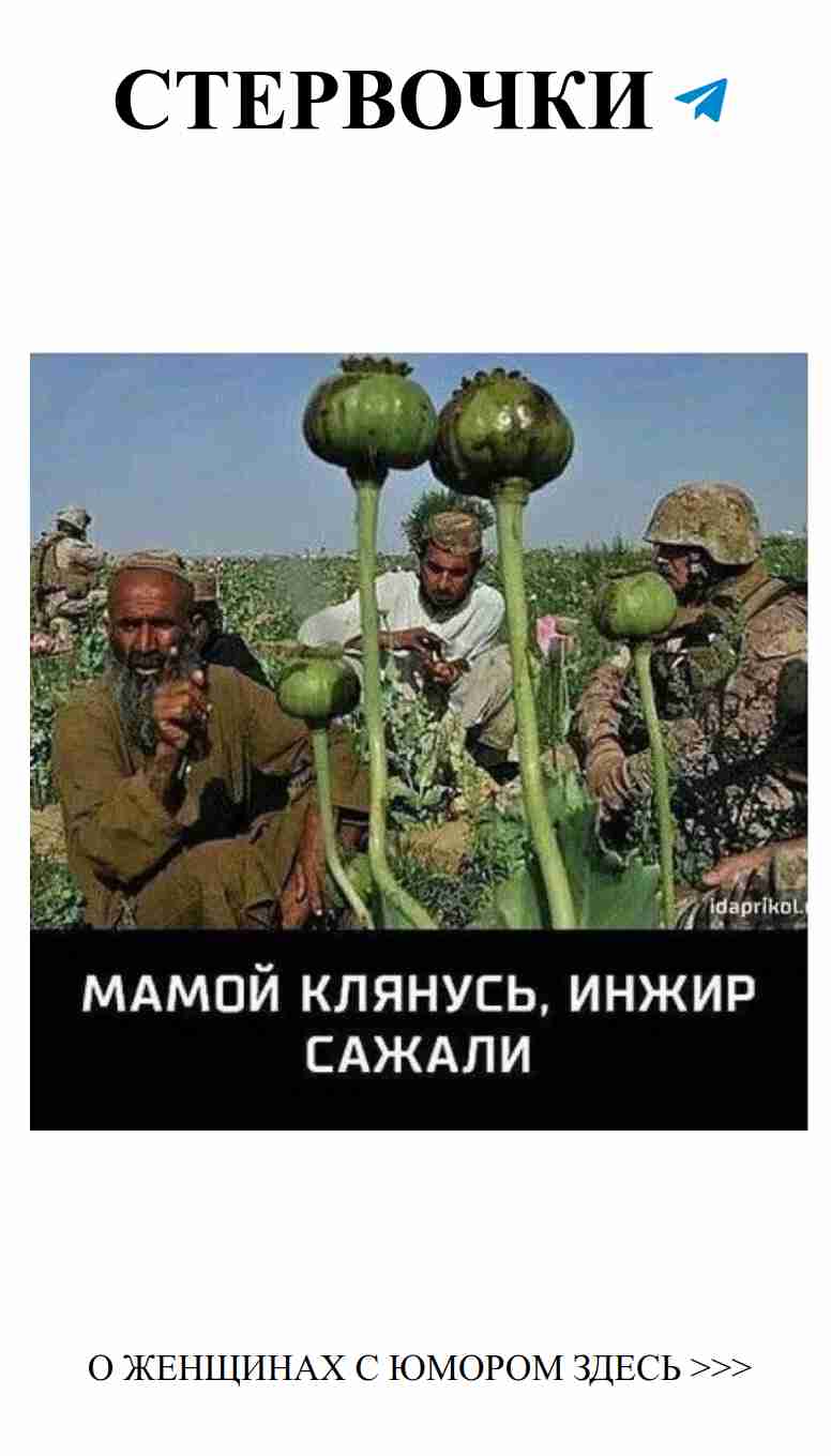 Женский юмор о любви: смейся и наслаждайся жизнью