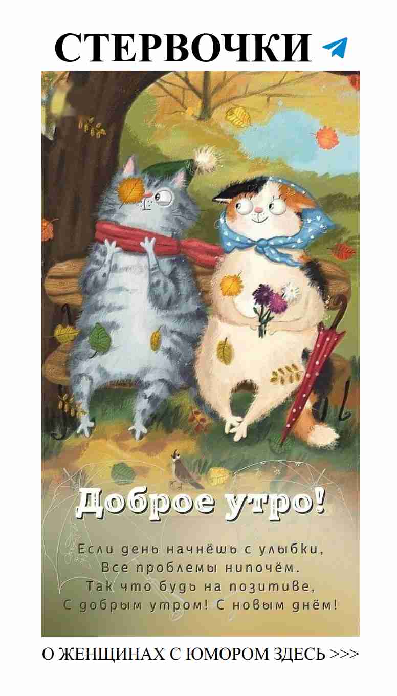 Любовь, смех и красивые открытки: идеальное сочетание