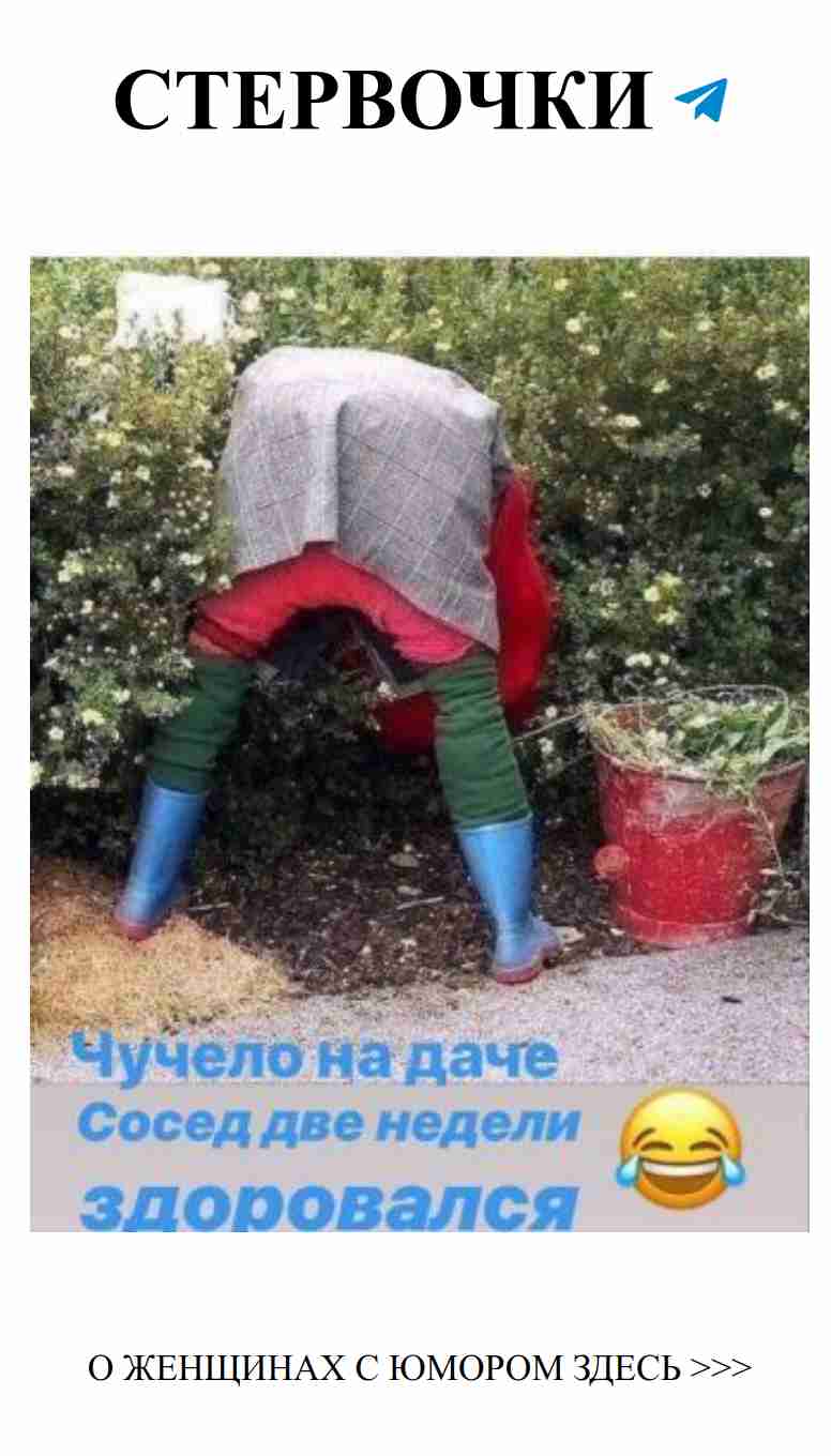 Любовь и юмор: Вклад Виктора Алексеева в женские шутки