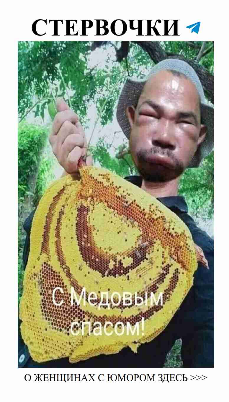 Юмористические картинки и стихи о любви для женщин