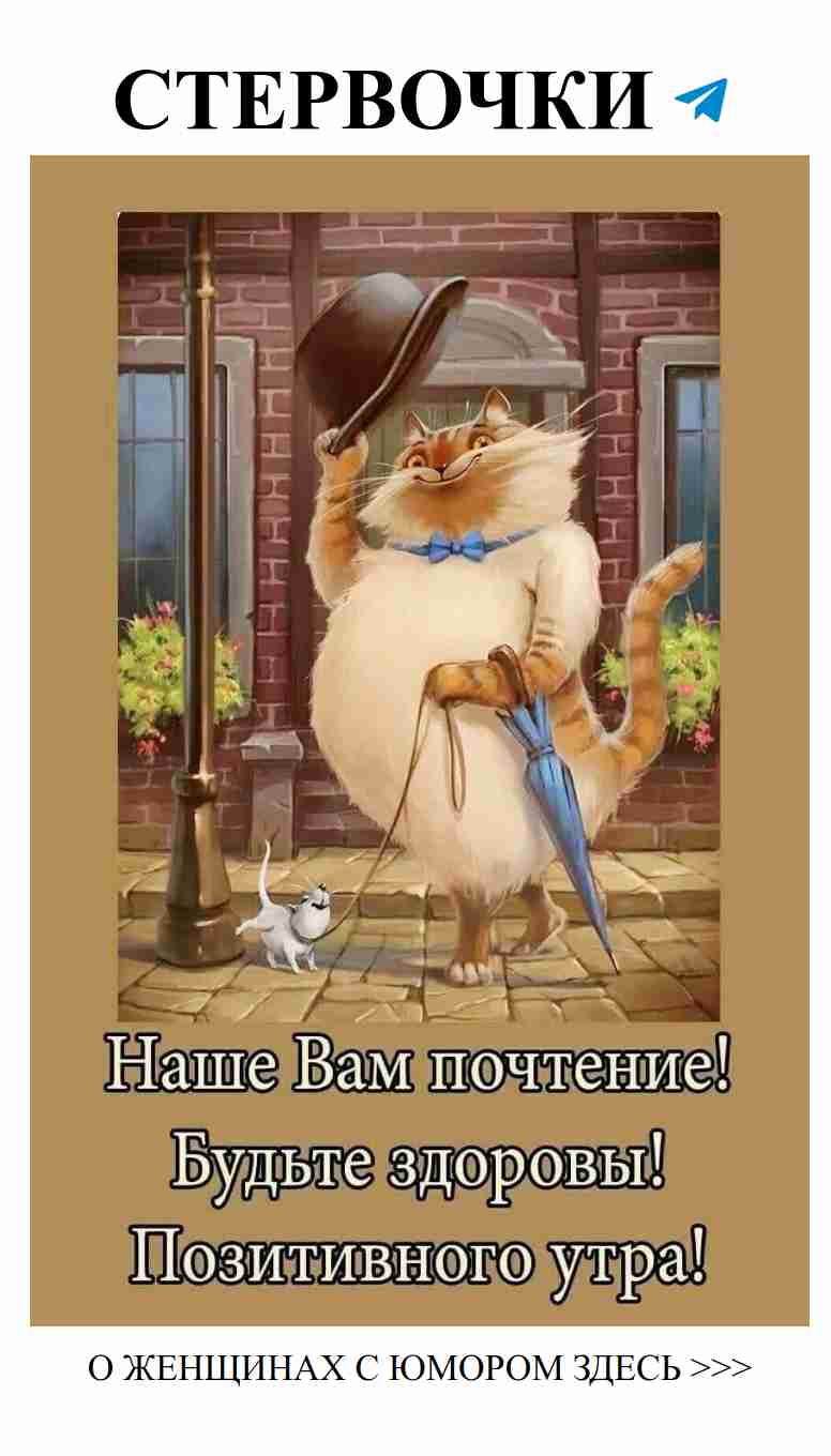 Улыбнись и люби: легкий юмор о нашем сердце