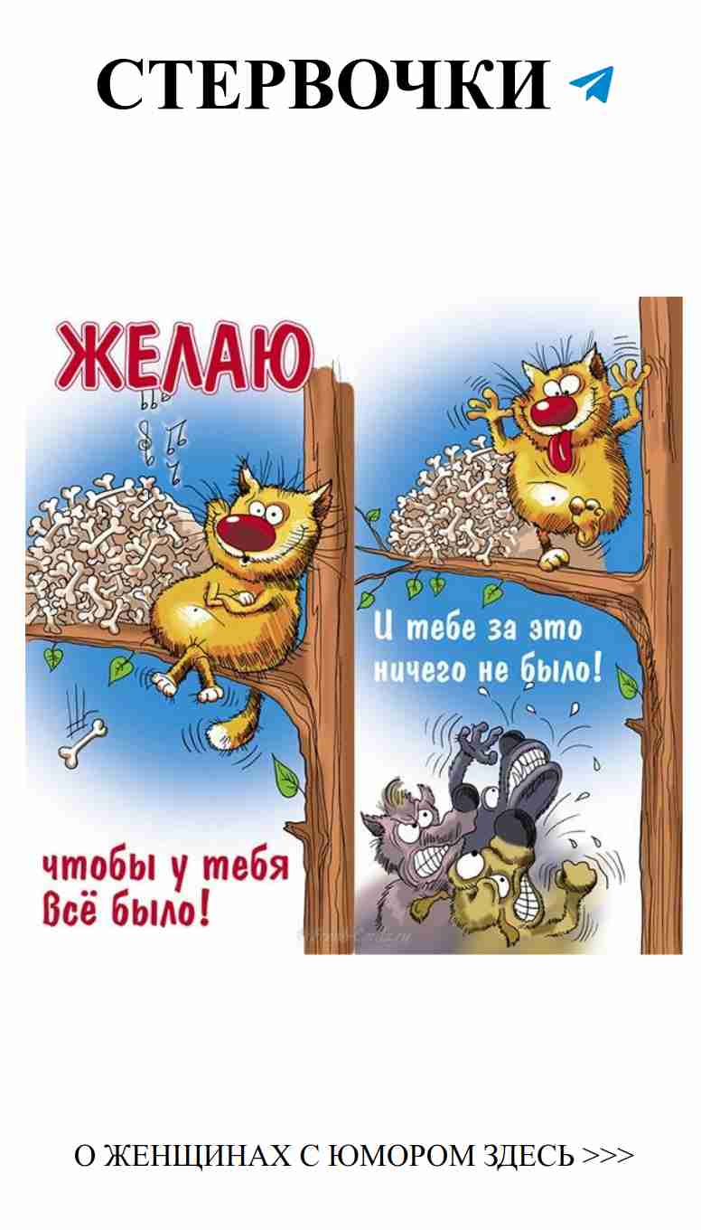 Женский юмор: Смешные открытки на день рождения