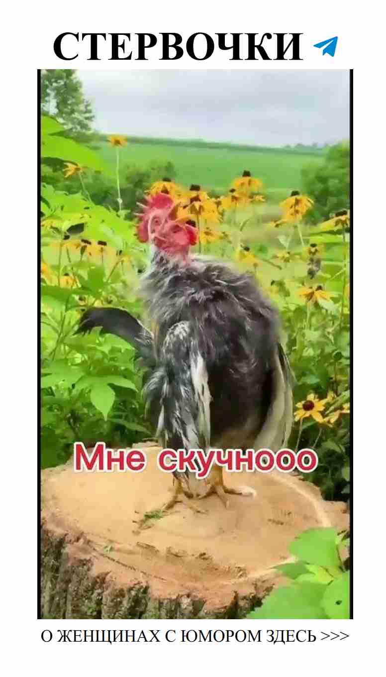 Утро — время мечтать и смеяться, вперед к новым победам!