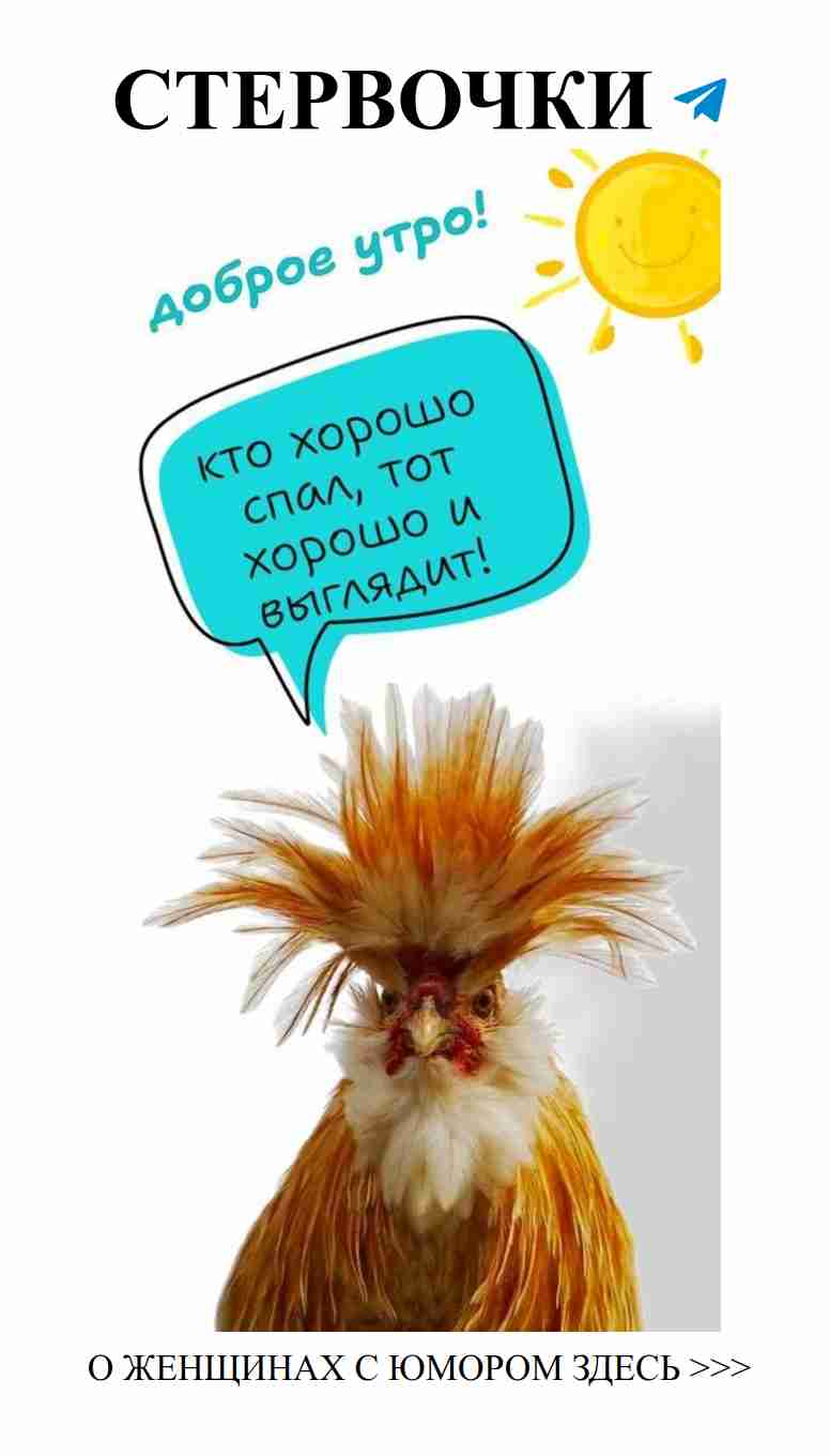 Смешные открытки о любви для поднятия настроения