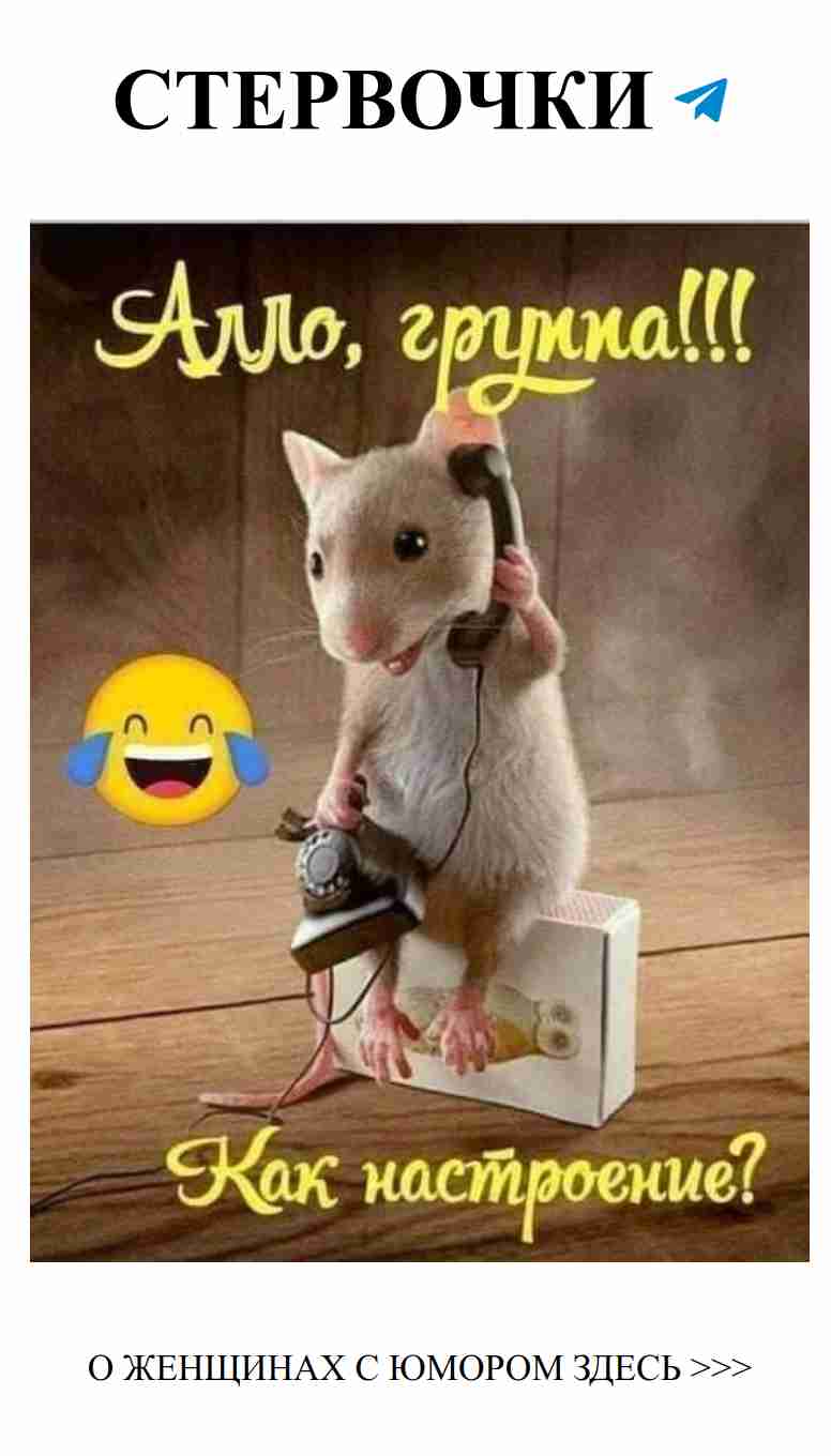 Любовь в шутках: лучший женский юмор о чувствах