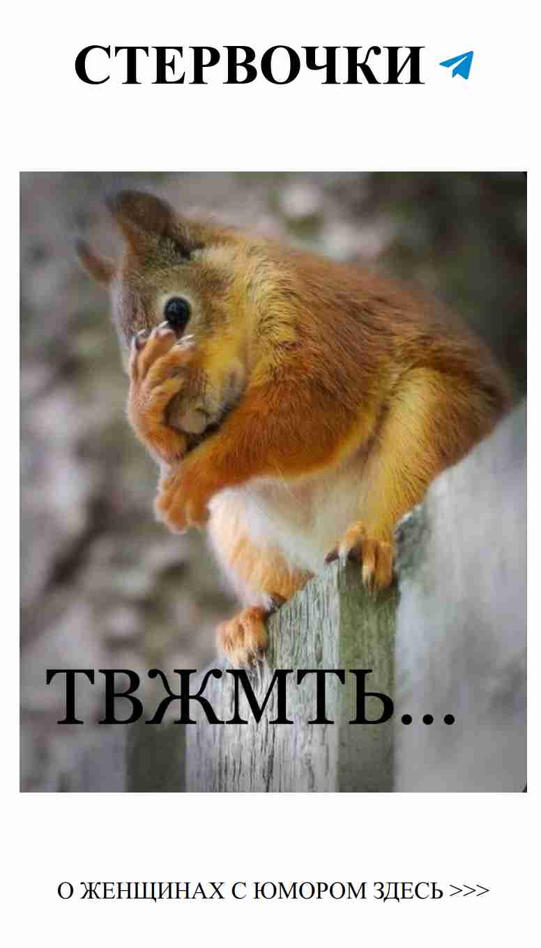 Смешные истории о любви и белках с юмором