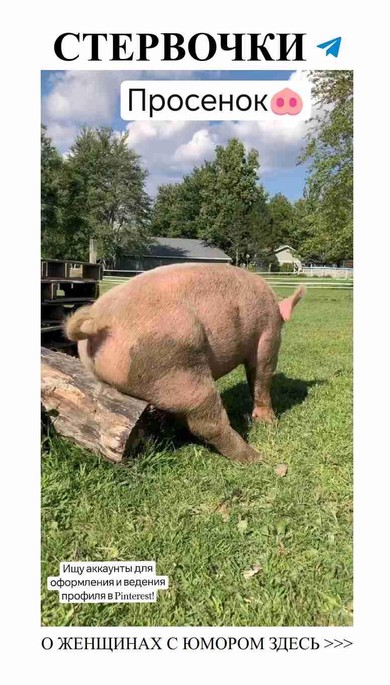 Юмористические мемы о любви для девушек и женщин