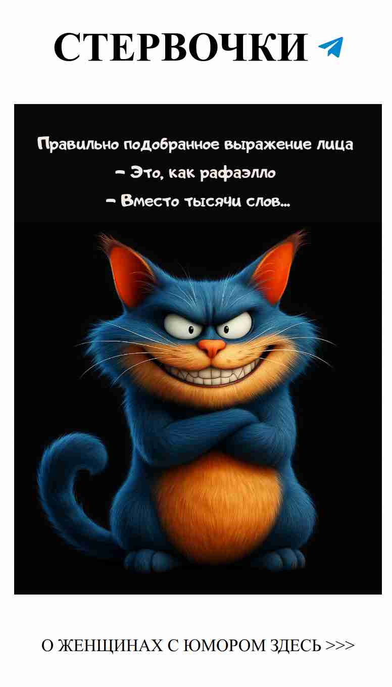 Кошка, которая знает, как говорить без слов и дарит улыбку