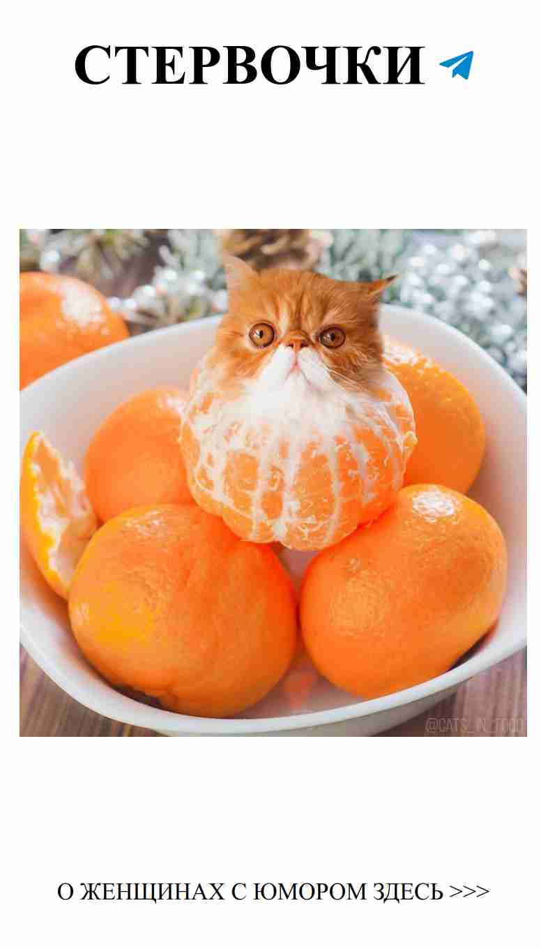 Когда коты стали едой: как я полюбила фотошоп