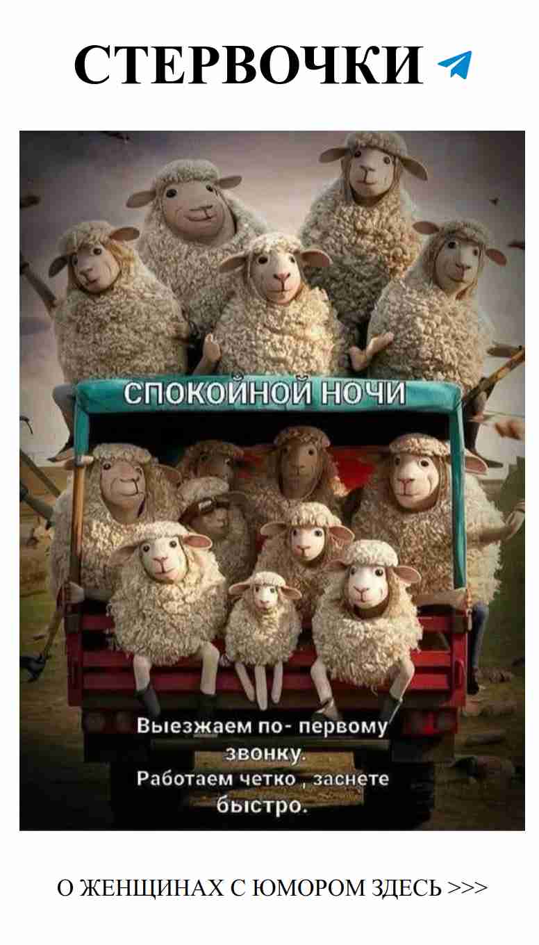 Улыбнись, любовь – это тоже юмор!