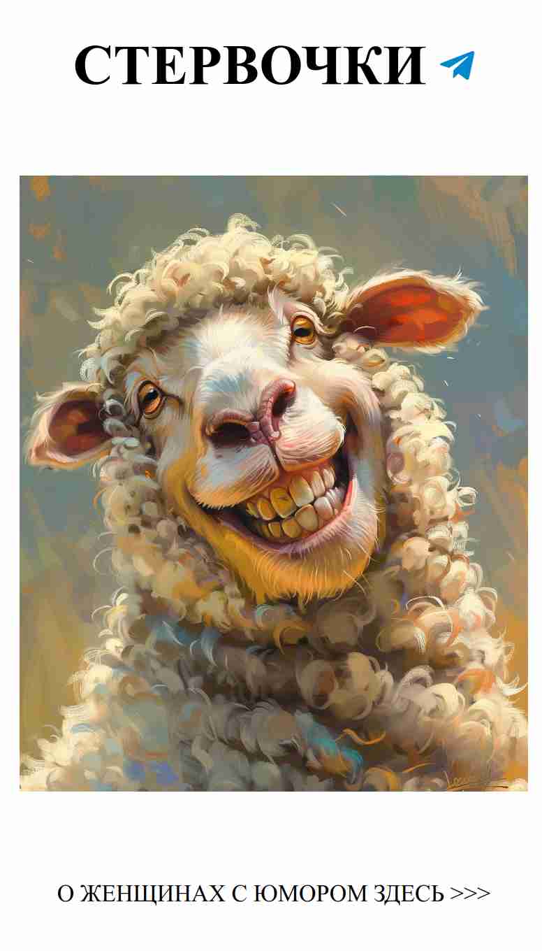 Очаровательные овцы: как понимать любовь с юмором