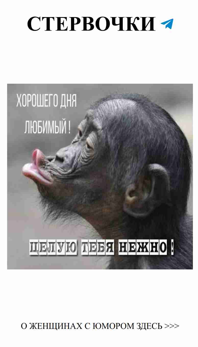 Прикольные открытки с нежными пожеланиями для любимого