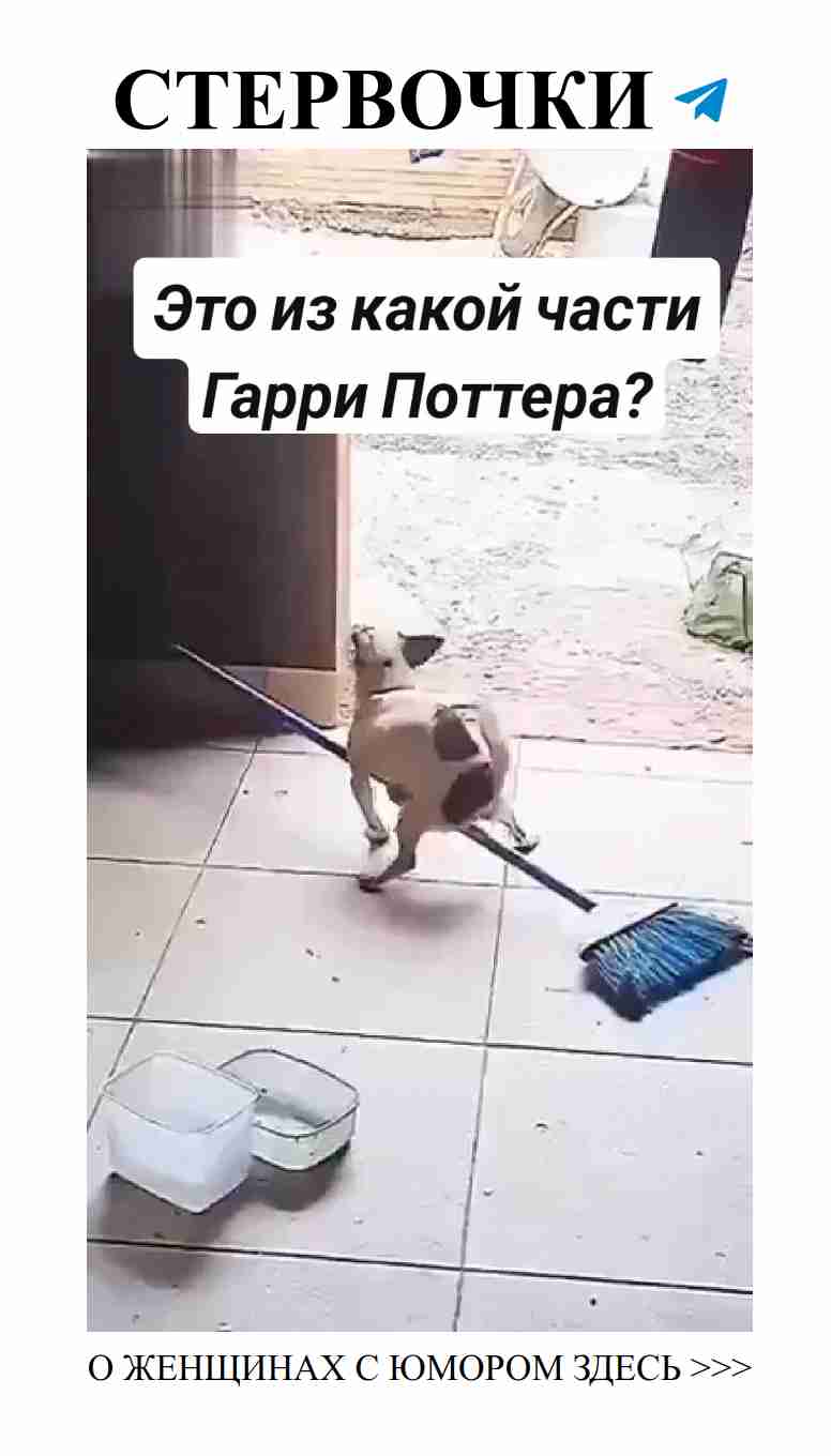 Любовь и смех: Женский взгляд на Гарри Поттера