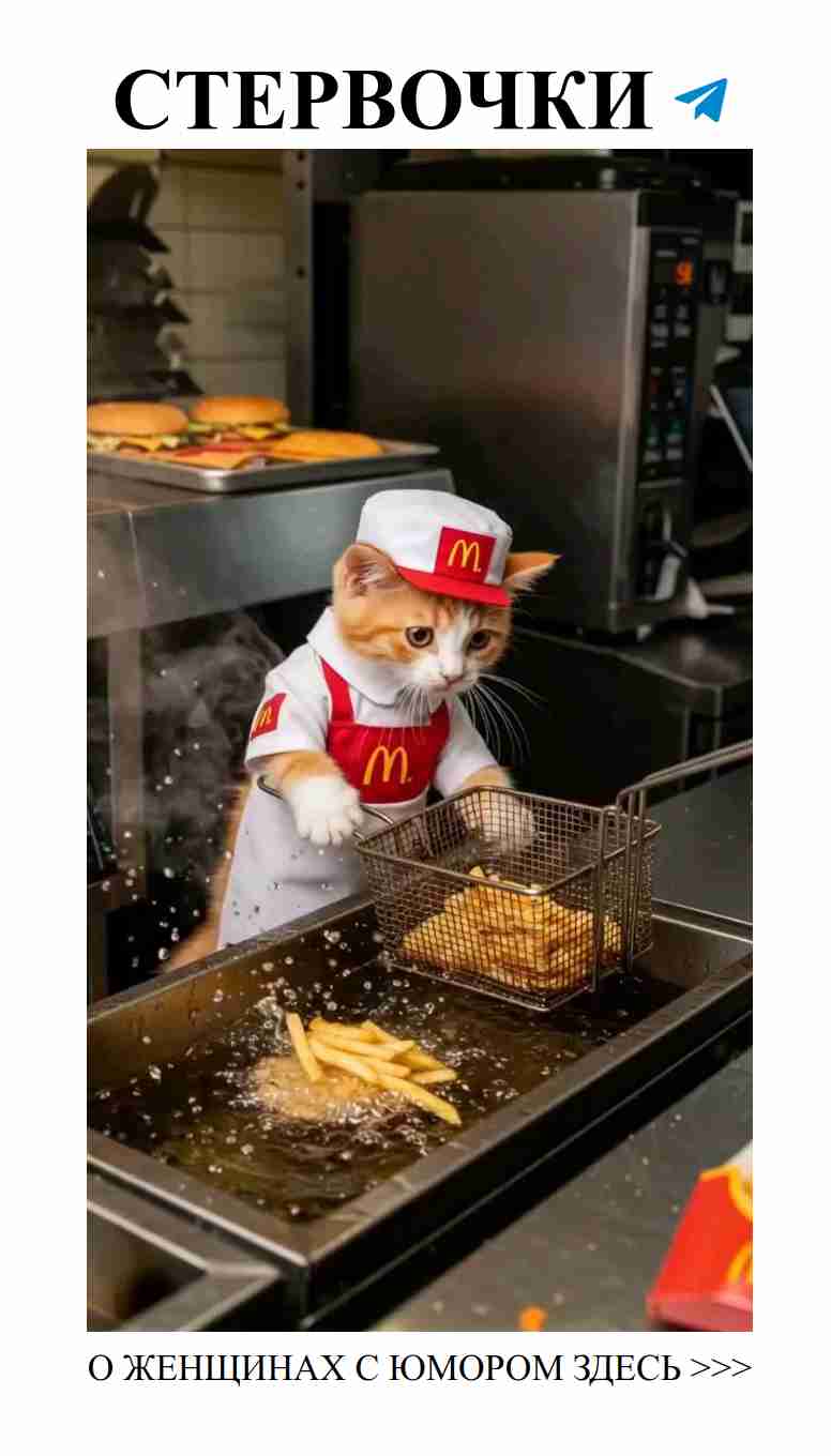 Кот готовит в McDonald’s: смешно и мило в одной тарелке