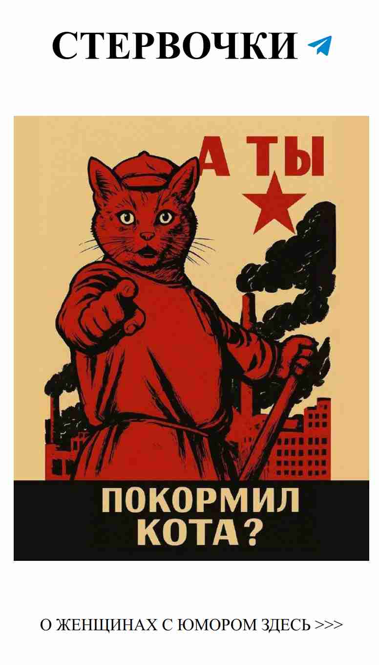 Коты в плакатах: любовь и юмор в советском стиле