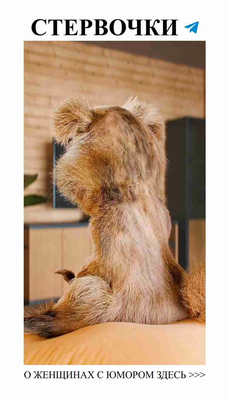 Юмор о любви: смеемся вместе с девушками