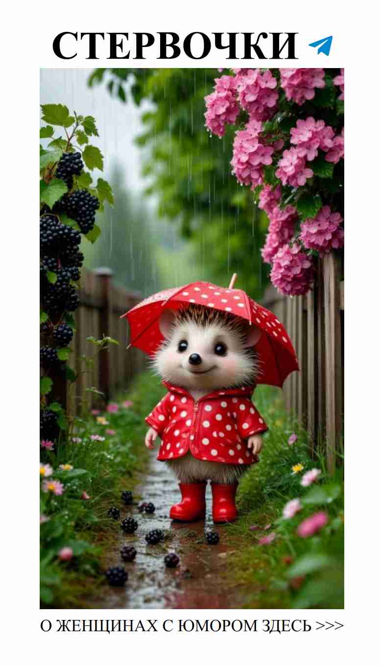 Любовь, смех и животные: как они нас веселят в жизни